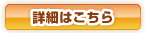 �ڍ�